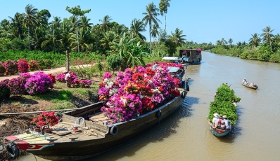 Tour trải nghiệm Việt Nam - Du Lịch Ama Journey - Công ty TNHH Du Lịch Và Thương Mại Ama Journey Việt Nam